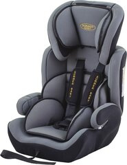 Автомобильное кресло Summer Baby Sport, 9-36 кг, Grey цена и информация | Автокресла | hansapost.ee