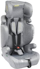 Автомобильное кресло Summer Baby Porto i-Size Isofix, 9-36 кг, Grey цена и информация | Автокресла | hansapost.ee