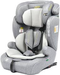 Автомобильное кресло Summer Baby Porto i-Size Isofix, 9-36 кг, Grey цена и информация | Автокресла | hansapost.ee