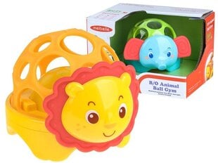 Kõristi Safari price and information | Toys for babies | hansapost.ee