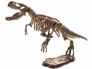 3D dinosauruse skeleti komplekt цена и информация | Jin hong xin toys Товары для детей и младенцев | hansapost.ee