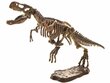 3D dinosauruse skeleti komplekt цена и информация | Mänguasjad poistele | hansapost.ee