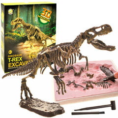 3D dinosauruse skeleti komplekt цена и информация | Игрушки для мальчиков | hansapost.ee