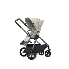 Universaalne jalutuskäru Mast Swiss 2in1 M.5x, lion price and information | Carriages, strollers | hansapost.ee