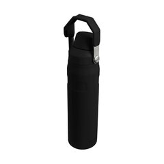 Thermobottle The Aerolight IceFlow Water Bottle Fast Flow 0.6L черный цена и информация | Термосы, термокружки | hansapost.ee