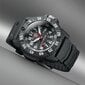 Meeste käekell Luminox Master Carbon SEAL 3800 Series XS.3801.L цена и информация | Käekellad meestele | hansapost.ee