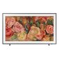 TV Samsung 43" hind ja info | Televiisorid | hansapost.ee