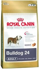 Корм Royal Canin Size French Bulldog для собак породы французский бульдог, 3 кг. цена и информация | Сухой корм для собак | hansapost.ee