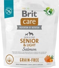 Brit Senior lõhega, 1 kg price and information | Koerte kuivtoit ja krõbinad | hansapost.ee