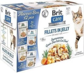 Brit kanaželeega, 12x85 g price and information | Canned food for cats | hansapost.ee