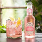 Karastusjook Fentimans Rhubarb Tonic, 200ml цена и информация | Maiustused | hansapost.ee