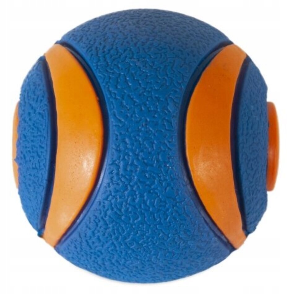 Koera mänguasi Chuckit! Ultra Squeaker Ball, M, sinine/oranž цена и информация | Koerte mänguasjad | hansapost.ee