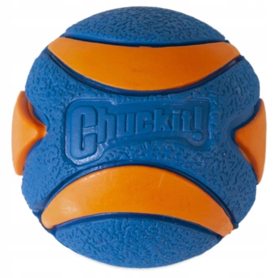 Koera mänguasi Chuckit! Ultra Squeaker Ball, M, sinine/oranž цена и информация | Koerte mänguasjad | hansapost.ee