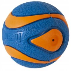 Koera mänguasi Chuckit! Ultra Squeaker Ball, M, sinine/oranž hind ja info | Koerte mänguasjad | hansapost.ee