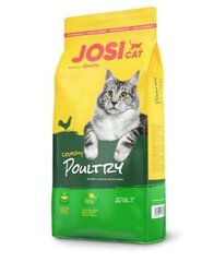 JosiCat linnulihaga, 10 kg hind ja info | Kassi kuivtoit ja kassikrõbinad | hansapost.ee