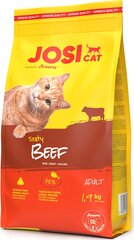 JosiCat veiselihaga, 1,9 kg hind ja info | Kassi kuivtoit ja kassikrõbinad | hansapost.ee