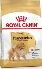 Royal Canin Breed Pomeranian Adult täiskasvanud kääbusspitsi tõugu koertele, 3 kg hind ja info | Koerte kuivtoit ja krõbinad | hansapost.ee