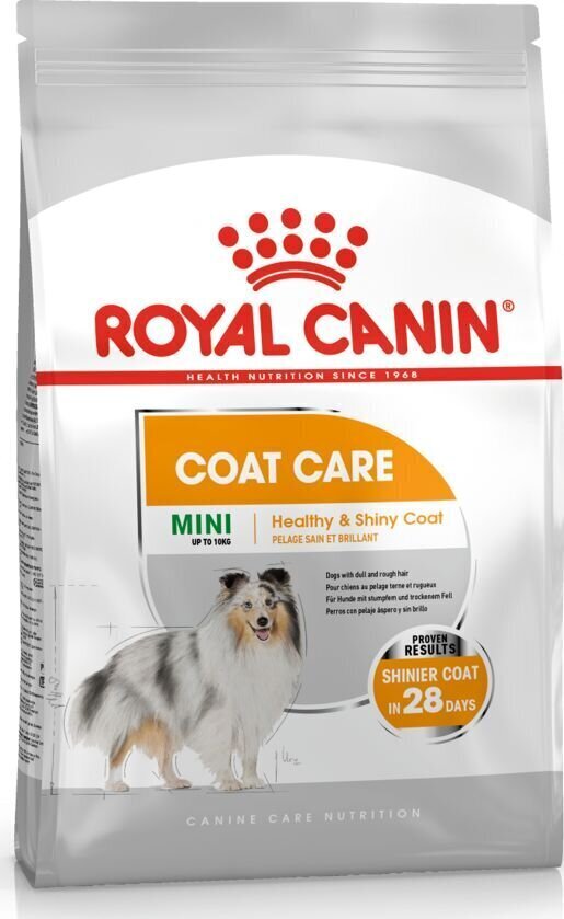 Royal Canin Ccn Mini Coat Care väikest tõugu täiskasvanud koertele 8 kg hind ja info | Koerte kuivtoit ja krõbinad | hansapost.ee