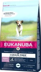 Eukanuba väikestele kutsikatele, 3 kg hind ja info | Koerte kuivtoit ja krõbinad | hansapost.ee