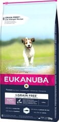 Eukanuba с рыбой, 12 кг цена и информация | Сухой корм для собак | hansapost.ee