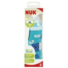 Joogipudel Nuk Junior Cup, sinine, 18+ kuud, 300 ml hind ja info | NUK Lastekaubad ja beebikaubad | hansapost.ee