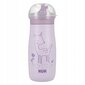 Pudel Nuk Mini Me 10225325, 9+ kuud, 300 ml hind ja info | Lutipudelid ja tarvikud | hansapost.ee