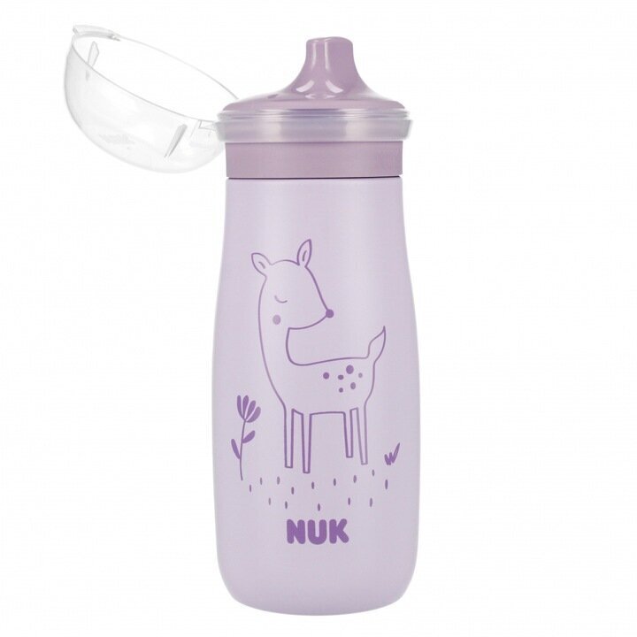 Pudel Nuk Mini Me 10225325, 9+ kuud, 300 ml hind ja info | Lutipudelid ja tarvikud | hansapost.ee