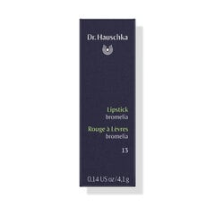 Huulepulk Dr. Haushka Rouge a Levres 4,1 g, 13 Bromelia hind ja info | Huulekosmeetika | hansapost.ee