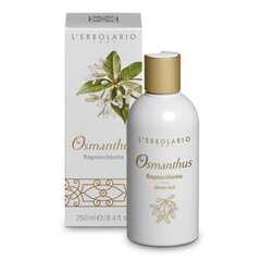 Dušigeel L'Erbolario Osmanthus 250 ml hind ja info | Dušigeelid, õlid | hansapost.ee