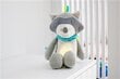 Plush mänguasi InnoGIO sõber Oscar, GIO-883 hind ja info | Beebide mänguasjad | hansapost.ee