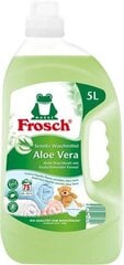 FROSCH Pesugeel Aloe Vera 5L hind ja info | Pesuvahendid | hansapost.ee