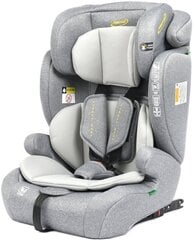 Autoiste Summer Baby Porto i-Size Isofix, 9-36 kg, Sport Grey price and information | Safety seats and cradles | hansapost.ee