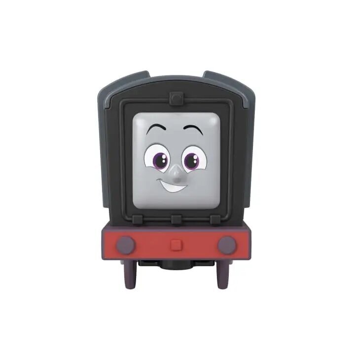 Vedur Fisher Price Thomas and Friends цена и информация | Mänguasjad poistele | hansapost.ee