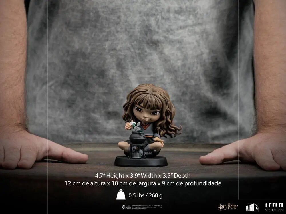 Figuur Iron Studios Harry Potter, Hermione Granger Polyjuice 12 cm hind ja info | Mänguasjad poistele | hansapost.ee