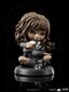 Figuur Iron Studios Harry Potter, Hermione Granger Polyjuice 12 cm цена и информация | Mänguasjad poistele | hansapost.ee