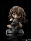 Figuur Iron Studios Harry Potter, Hermione Granger Polyjuice 12 cm цена и информация | Mänguasjad poistele | hansapost.ee