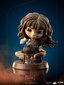 Figuur Iron Studios Harry Potter, Hermione Granger Polyjuice 12 cm цена и информация | Mänguasjad poistele | hansapost.ee