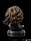 Figuur Iron Studios Harry Potter, Hermione Granger Polyjuice 12 cm цена и информация | Mänguasjad poistele | hansapost.ee