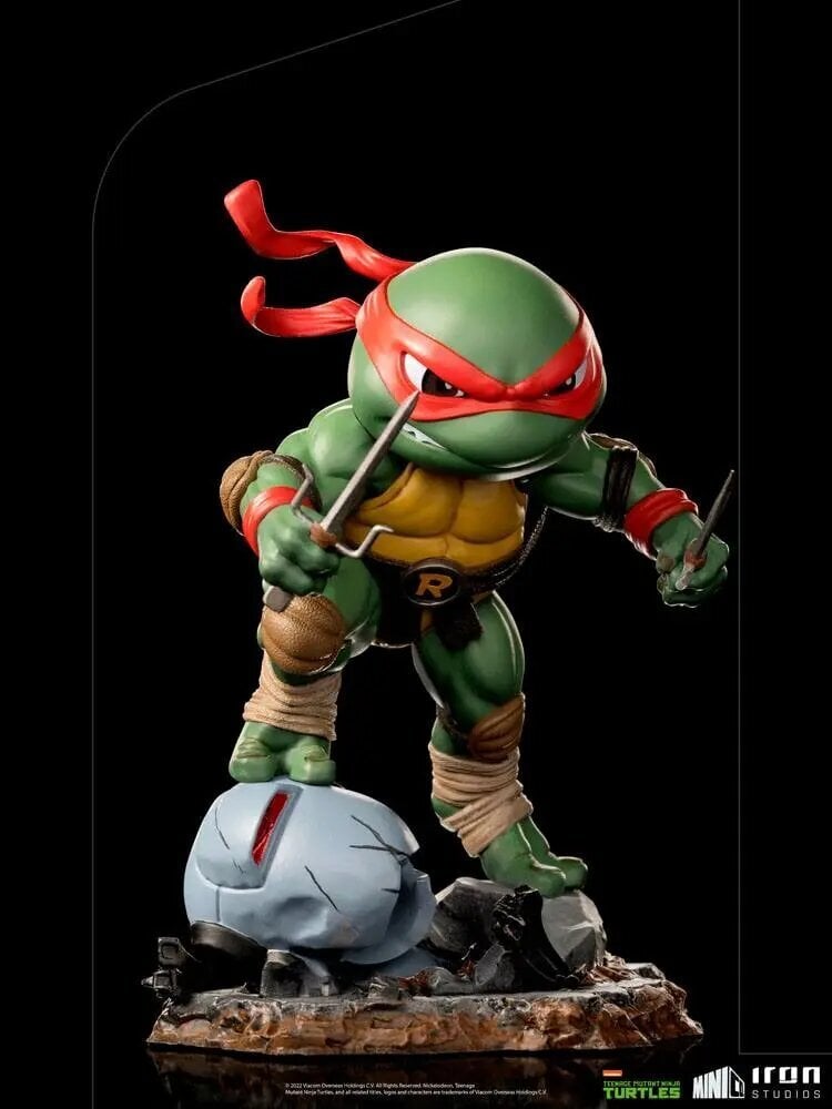 Figuur Teenage Mutant Ninja Turtles Mini Co, 16 cm hind ja info | Mänguasjad poistele | hansapost.ee