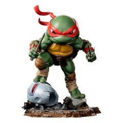 Figuur Teenage Mutant Ninja Turtles Mini Co, 16 cm hind ja info | TEENAGE MUTANT NINJA TURTLES Lelud | hansapost.ee