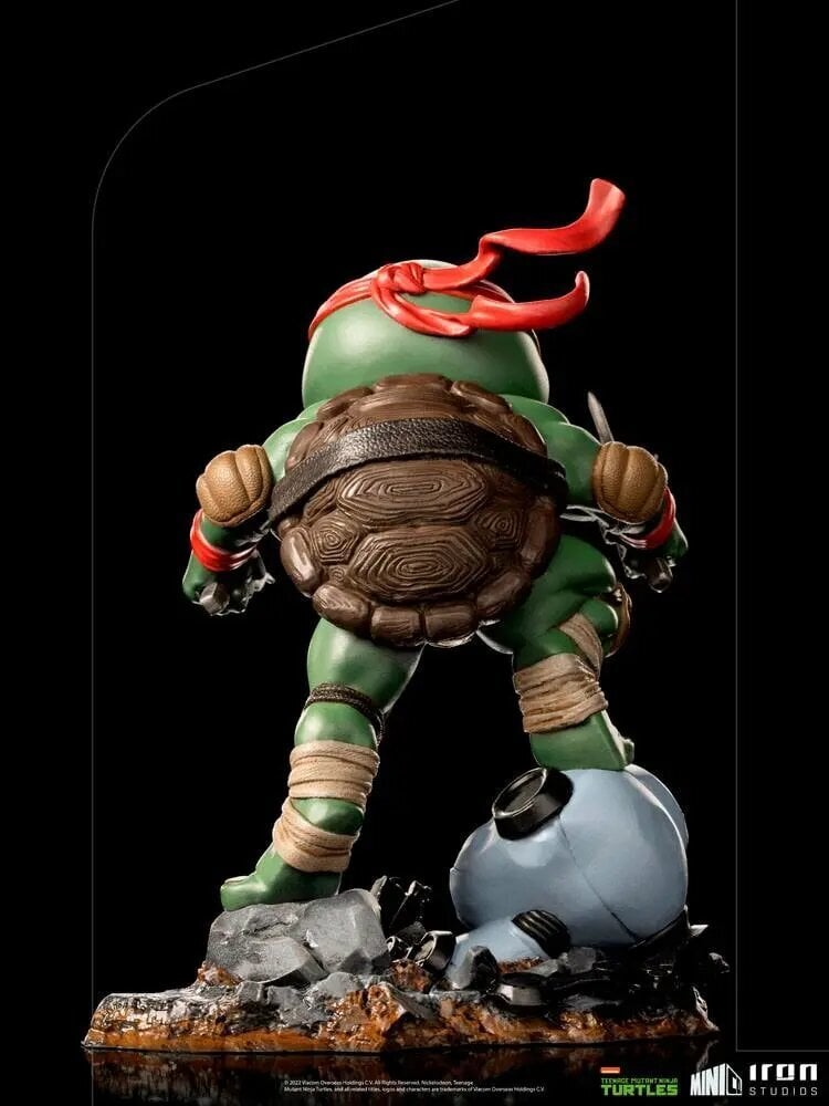 Figuur Teenage Mutant Ninja Turtles Mini Co, 16 cm hind ja info | Mänguasjad poistele | hansapost.ee