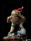 Figuur Teenage Mutant Ninja Turtles Mini Co, 16 cm цена и информация | Mänguasjad poistele | hansapost.ee