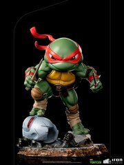 Figuur Teenage Mutant Ninja Turtles Mini Co, 16 cm hind ja info | TEENAGE MUTANT NINJA TURTLES Lelud | hansapost.ee