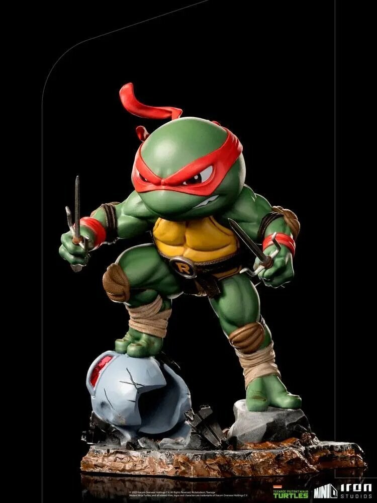 Figuur Teenage Mutant Ninja Turtles Mini Co, 16 cm hind ja info | Mänguasjad poistele | hansapost.ee