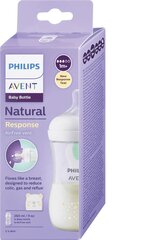 Бутылочка Philips Avent SCY673/82, 1+ мес, 260 мл цена и информация | Бутылочки и аксессуары | hansapost.ee