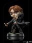 Figuur Iron Studios Harry Potter, Ron Weasley katkise pulgaga, 14 cm цена и информация | Mänguasjad poistele | hansapost.ee