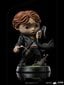 Figuur Iron Studios Harry Potter, Ron Weasley katkise pulgaga, 14 cm цена и информация | Mänguasjad poistele | hansapost.ee