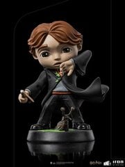 Figuur Iron Studios Harry Potter, Ron Weasley katkise pulgaga, 14 cm hind ja info | Mänguasjad poistele | hansapost.ee