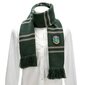 Harry Potter sall Slytherin 11698 hind ja info | Sallid naistele | hansapost.ee