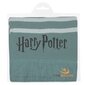 Harry Potter sall Slytherin 11698 hind ja info | Sallid naistele | hansapost.ee